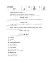 Verslo planas: grožio salonas IĮ "Orseidė" 14 puslapis