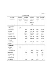Verslo planas: grožio salonas IĮ "Orseidė" 16 puslapis