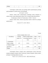 Verslo planas: grožio salonas IĮ "Orseidė" 18 puslapis