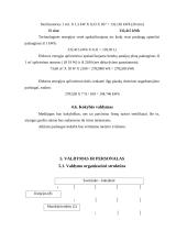 Verslo planas: grožio salonas IĮ "Orseidė" 19 puslapis