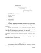 Verslo planas: grožio salonas IĮ "Orseidė" 20 puslapis