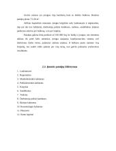 Verslo planas: grožio salonas IĮ "Orseidė" 4 puslapis