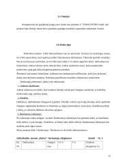 Verslo planas: interneto kavinė IĮ "Baitas" 13 puslapis