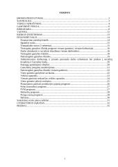 Verslo planas: juvelyriniai dirbiniai UAB "Žėrutis"