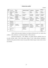 Verslo planas: juvelyriniai dirbiniai UAB "Žėrutis" 11 puslapis