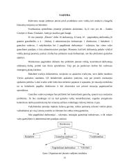 Verslo planas: juvelyriniai dirbiniai UAB "Žėrutis" 12 puslapis