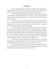 Verslo planas: juvelyriniai dirbiniai UAB "Žėrutis" 3 puslapis