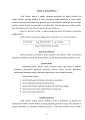 Verslo planas: juvelyriniai dirbiniai UAB "Žėrutis" 4 puslapis