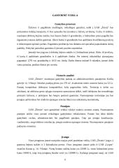 Verslo planas: juvelyriniai dirbiniai UAB "Žėrutis" 6 puslapis