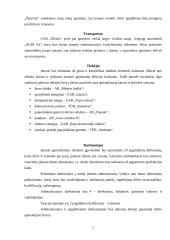 Verslo planas: juvelyriniai dirbiniai UAB "Žėrutis" 7 puslapis