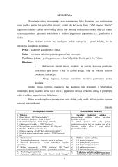 Verslo planas: juvelyriniai dirbiniai UAB "Žėrutis" 8 puslapis