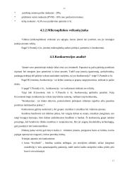 Verslo planas: kavinė "Aušra" 12 puslapis
