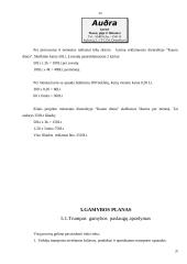 Verslo planas: kavinė "Aušra" 15 puslapis