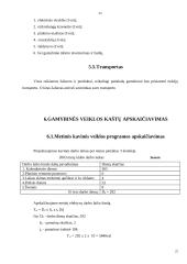 Verslo planas: kavinė "Aušra" 17 puslapis