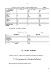 Verslo planas: kavinė "Aušra" 19 puslapis