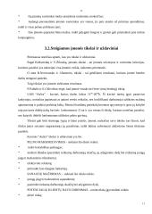 Verslo planas: kavinė "Aušra" 6 puslapis