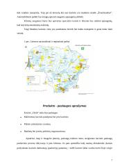 Verslo planas: kavinė UAB "Užeik" 8 puslapis