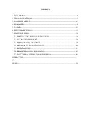 Verslo planas: ledų gamyba UAB "Ledukas" 2 puslapis
