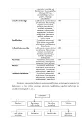 Verslo planas: ledų gamyba UAB "Ledukas" 12 puslapis