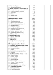 Verslo planas: ledų gamyba UAB "Ledukas" 14 puslapis