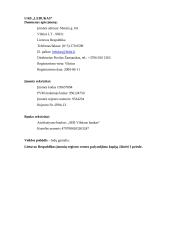 Verslo planas: ledų gamyba UAB "Ledukas" 3 puslapis