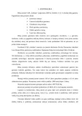 Verslo planas: ledų gamyba UAB "Ledukas" 4 puslapis