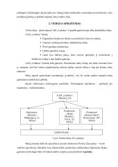 Verslo planas: ledų gamyba UAB "Ledukas" 5 puslapis