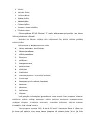 Verslo planas: ledų gamyba UAB "Ledukas" 7 puslapis