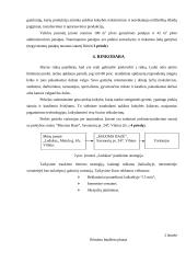 Verslo planas: ledų gamyba UAB "Ledukas" 8 puslapis