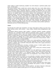 Protoindijos tyrinėjimai 4 puslapis