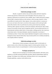 Verslo planas: masažo kabinetas 2 puslapis