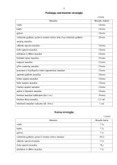 Verslo planas: masažo kabinetas 4 puslapis