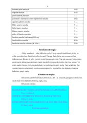 Verslo planas: masažo kabinetas 5 puslapis