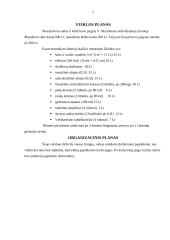 Verslo planas: masažo kabinetas 6 puslapis