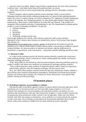 Verslo planas: medienos gaminiai UAB "Kokybė" 12 puslapis
