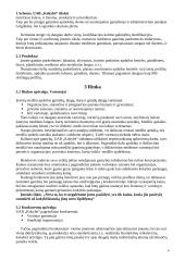 Verslo planas: medienos gaminiai UAB "Kokybė" 4 puslapis
