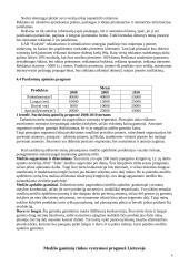 Verslo planas: medienos gaminiai UAB "Kokybė" 6 puslapis