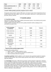 Verslo planas: medienos gaminiai UAB "Kokybė" 7 puslapis