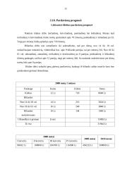 Verslo planas: naktinis klubas "Garsas" 11 puslapis