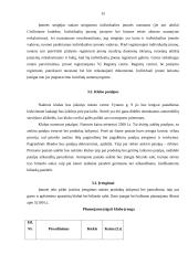 Verslo planas: naktinis klubas "Garsas" 15 puslapis