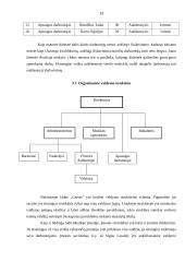 Verslo planas: naktinis klubas "Garsas" 19 puslapis