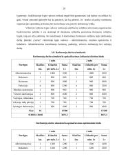Verslo planas: naktinis klubas "Garsas" 20 puslapis