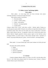 Verslo planas: naktinis klubas "Garsas" 5 puslapis
