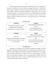 Verslo planas: naktinis klubas "Garsas" 6 puslapis