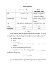 Verslo planas: naktinis klubas "Garsas" 7 puslapis