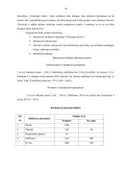 Verslo planas: naktinis klubas "Garsas" 10 puslapis