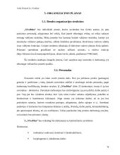 Verslo planas: naktinis klubas ir kavinė "VivaMax" 16 puslapis
