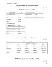 Verslo planas: naktinis klubas ir kavinė "VivaMax" 19 puslapis