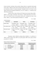 Verslo planas: naktinis klubas UAB "GD" 17 puslapis