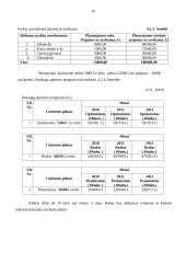 Verslo planas: naktinis klubas UAB "GD" 18 puslapis